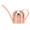 Watering Can for House Bonsai Garden Flower Outdoor Indoor Plants Long Spout Pot Stainless Steel