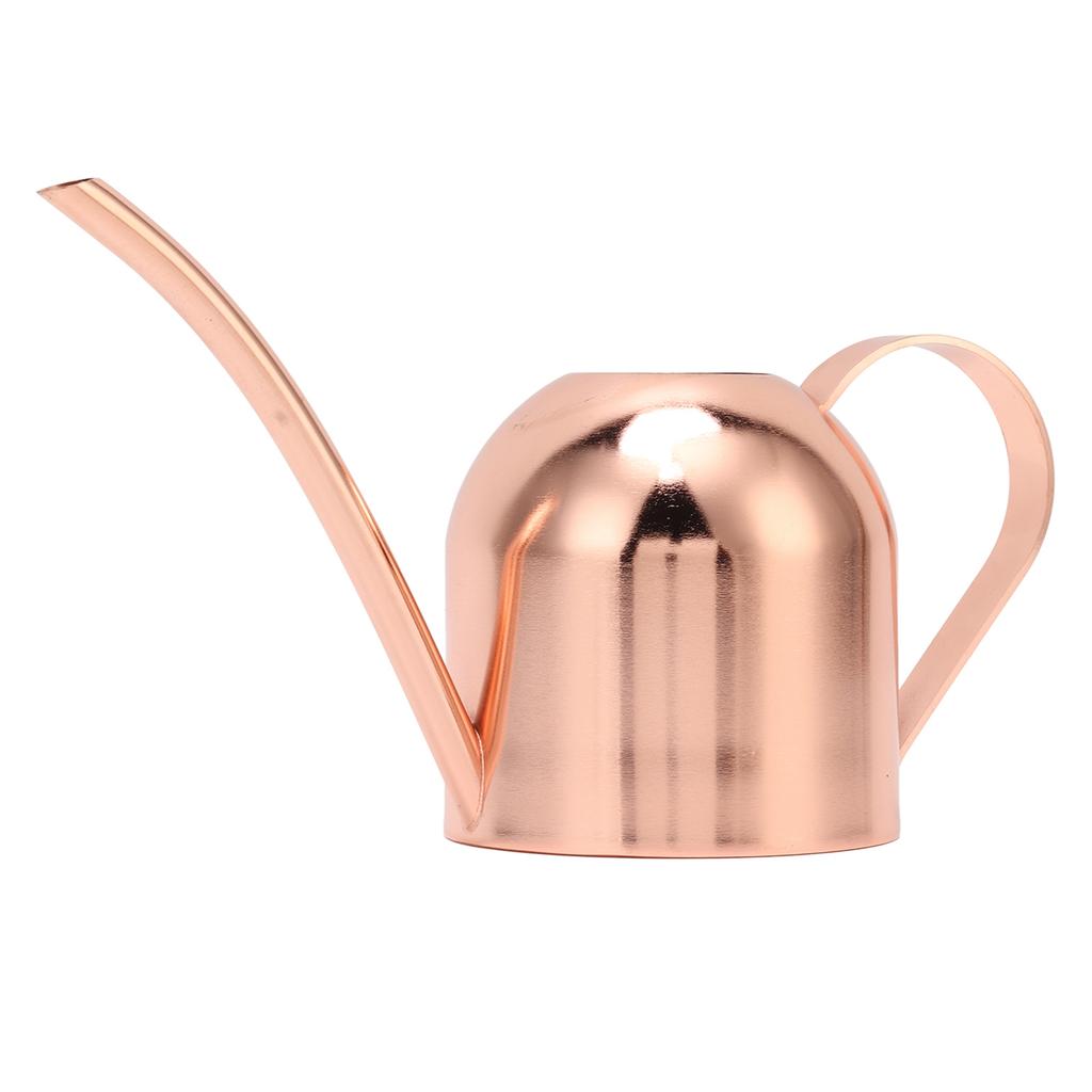 Watering Can for House Bonsai Garden Flower Outdoor Indoor Plants Long Spout Pot Stainless Steel