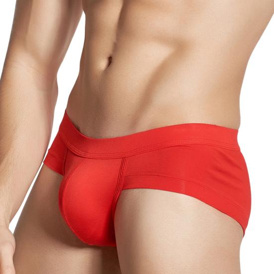 Men's Bikini Underwear Low Rise No Fly Briefs Modal Microfiber Support Pouch Soft Breathable Underpants