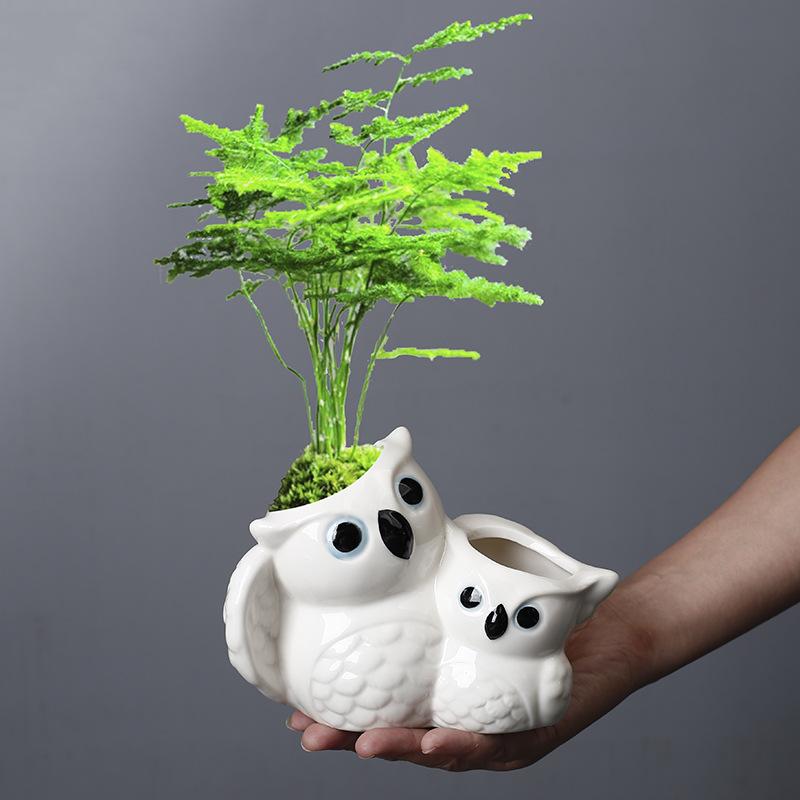 Gardening Succulent Flower Pot Ceramic Interior Creative Simple Desktop Small Animal Mother And Son Owl Flower Ornament