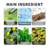 Blackhead Cleansing Cream Skin Oil Blackheads Acne Exfoliating Cleansing Repair Pore Tearing Nose Patch