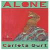 Alone by Carlota Gurt Paperback Book 9781787704435