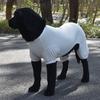 Îmbrăcăminte și încălțăminte – Veste și îmbrăcăminte pentru câini