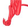 Chicken Helmet Hens Safety Hat with Adjustable Elastic Strap Mini Parrot Helmet Costume Accessories for Rooster Duck Parakeet Poultry