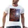 Fall Is In the Air T-Shirt T Shirts for Man Pack White Anime Tshirt Cotton T Shirt Pack T-shirt