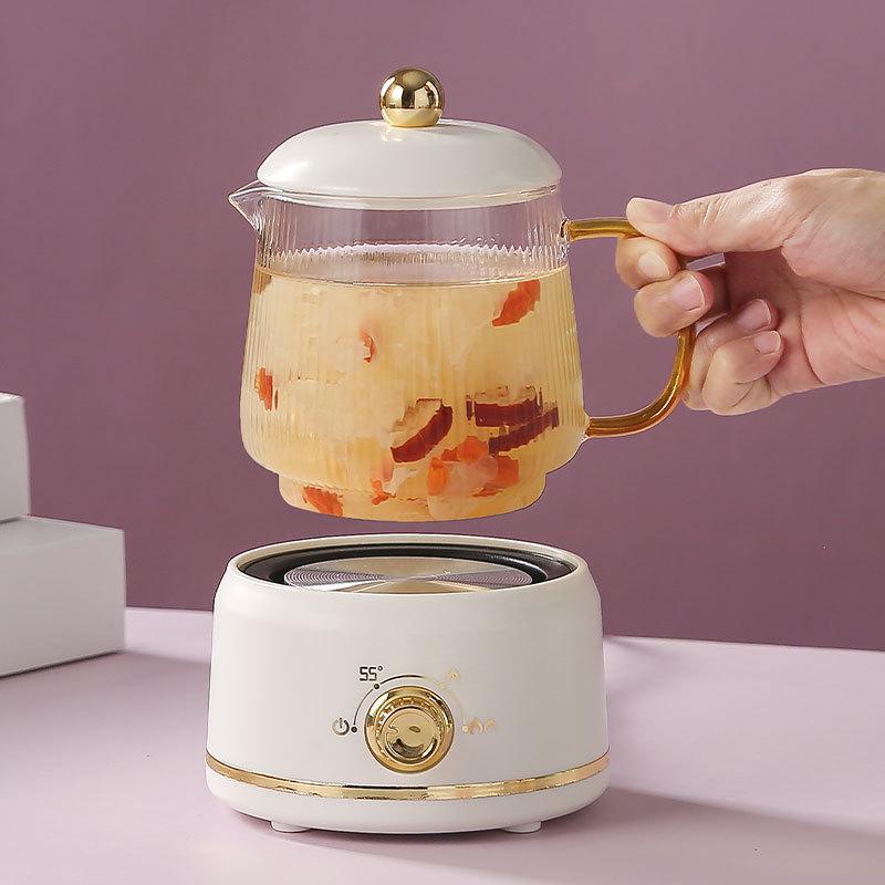 Large Capacity Electric Glass Kettle for Herbal Tea & Hot Milk