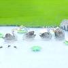 Cartoon Leuchtende Krone Schwan Mini-Figur Mikro-Landschaft Dekoration Niedliche Miniaturen DIY Heimdekorationszubehör Geschenke