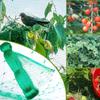 Protect Your Garden Fruits And Vegetables With Reusable Bird Netting