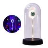 LED Clear Dome Eyeball Night Light Creepy Light-up Eyeball in Cloche with Wooden Base for Home Kitchen Tabletop Mentel Shelf Decor