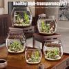 Plastic Fish Bowls Round Clear Goldfish Bowl Multi-functional Aquarium Hydroponic Planter Floral Container for Table Centerpiece Home Decor