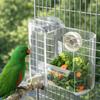 Transparent Automatic Bird Feeder Leak-proof Hanging Bird Feeding Container Plastic Large Capacity Parrot Food Box Bird Cage