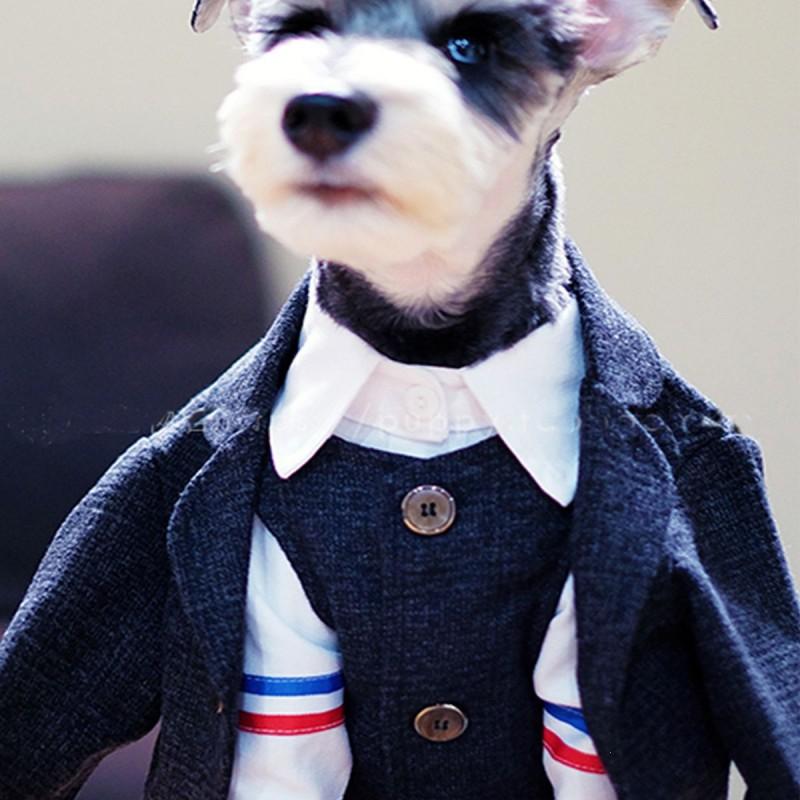 Pet Formal Vest Suit Set Small Dogs Cats Schnauzer French Bulldog Stylish Gentleman Outfit