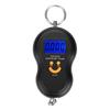 Portable Plastic Electric Digital Hanging Scale with Hook Tool for Fishing Luggage (Black)