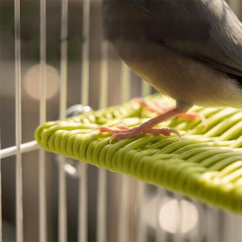 Wear Resistant Jumping Platform Bite Resistant Parrot Cage Stand Bird Resting Platform  Training