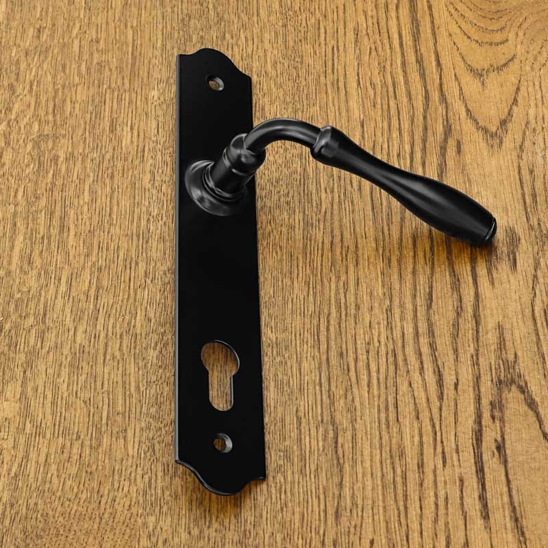 BRISTOL Door Handle with a Plate for a 90mm Insert