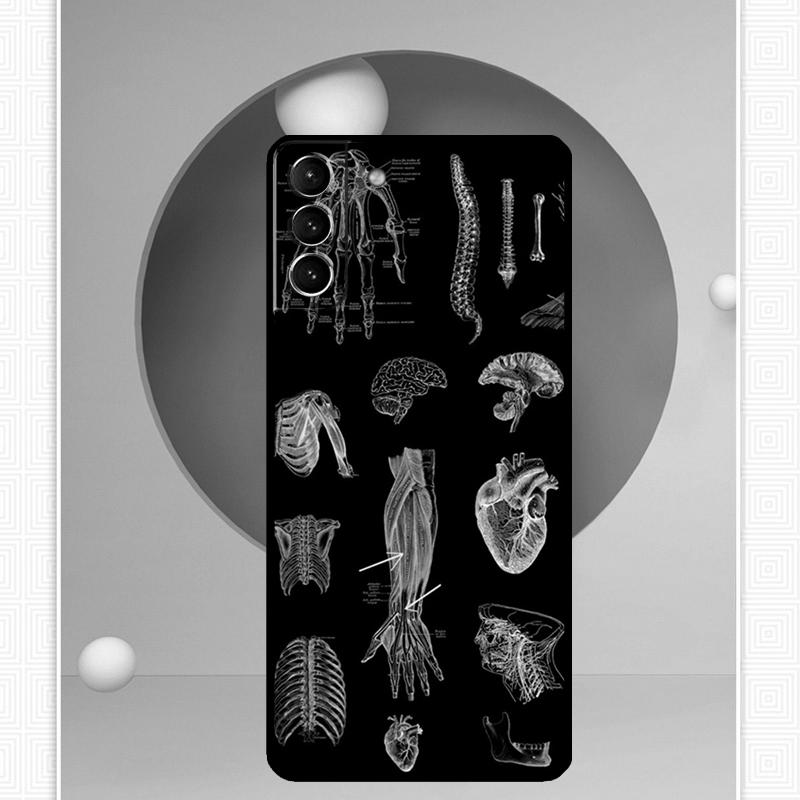 Human Anatomy Case For Samsung Galaxy S25 Ultra S25 FE S20 S21 S22 S23 Plus S9 S10 S24 Ultra Cover Funda
