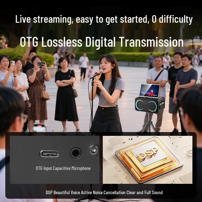 SAST SA-825 HIFI Karaoke Machine with Screen CN Plug (adapter Included)