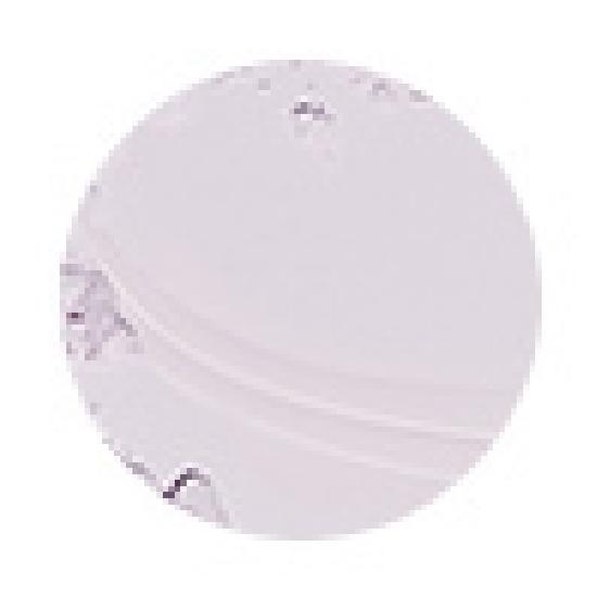 hince second skin airy powder