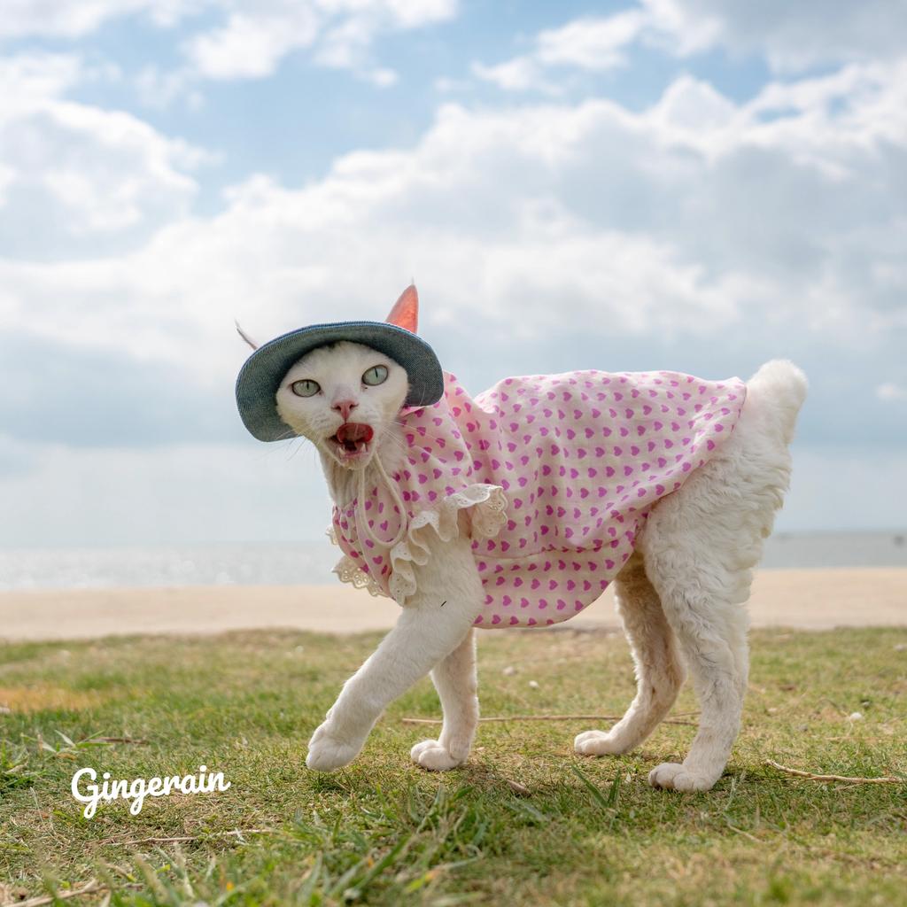 Summer Sphynx Cat Clothes Lace Floral Dress for Kittens Spring Sweet Vest for Female Cat Vintage Cardigan T-shirt for Devon Rex