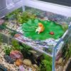 Lotus Leaf Floating Cat Fishing Miniature Cat Fishing Model Aquarium Landscaping  Aquatic Pet Tank