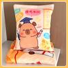 Short Plush Cushion Blanket For Students Graduation Gift