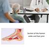 Educational PVC Foot Joint Anatomy Model Sectional Anatomical Ankle Foot Joint Model For Education And Clinical Settings