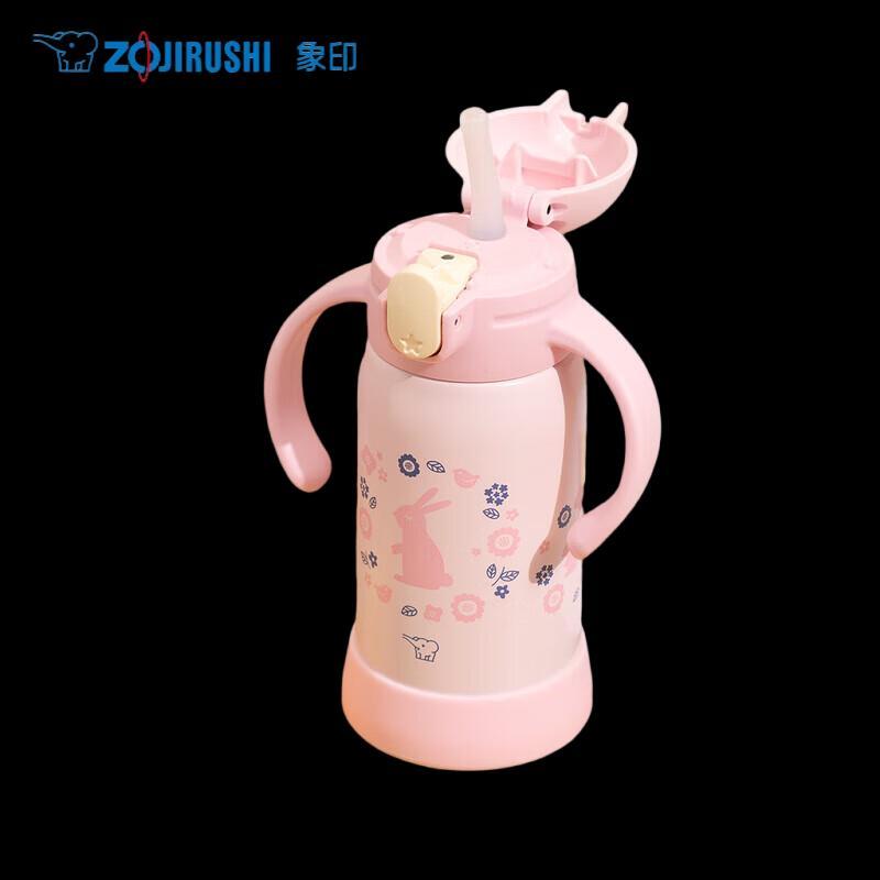 Zojirushi SQ-DA30E Toddler Stainless Steel Sippy Straw Cup