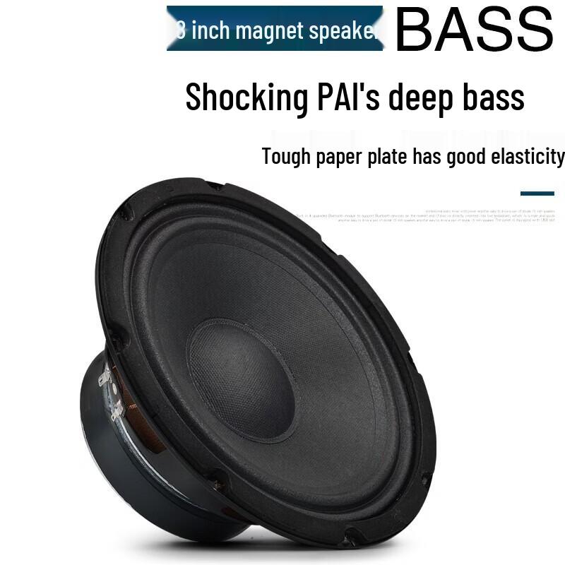 KAXISAIER Professional Passive Full-Range Speaker CN Plug (adapter Included)