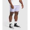 Gymshark Lightweight Jersey Shorts Silver Lilac A5a6j Pbvs