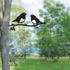 Black Metal Birds Wall Art Decor Easy To Install Robin Bird Silhouette Wall Decor Multi-Purpose for Balcony Garden Porch Decor