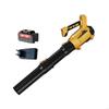 Brushless Yard Blower With 10 Cell Battery And 220V EU Device For Outdoor Area Maintenance M4YD