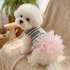 Lace Skirt Puppy Princess Dress Sweet Style Pet T-shirt Fashion Pet Lace Skirt  Wedding Party