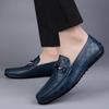 Fashion 2025 New Black Loafers Men's Leather High Quality Designer Men's Shoes Leather Shoes Soft Sole Comfortable Casual Shoes Moccasin