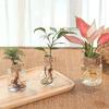 Hyazinthenvase Transparent Blumenpflanzenflasche Topf DIY Ornamente Haus Wohnzimmer Gartendekoration Schreibtischdekorationen Blumenvase
