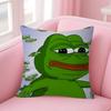 Funny PPepe The Frog   Personalized Pillow Cover Kids Bedroom Wild Party Decor Pillowcase kid Birthday shower Gift