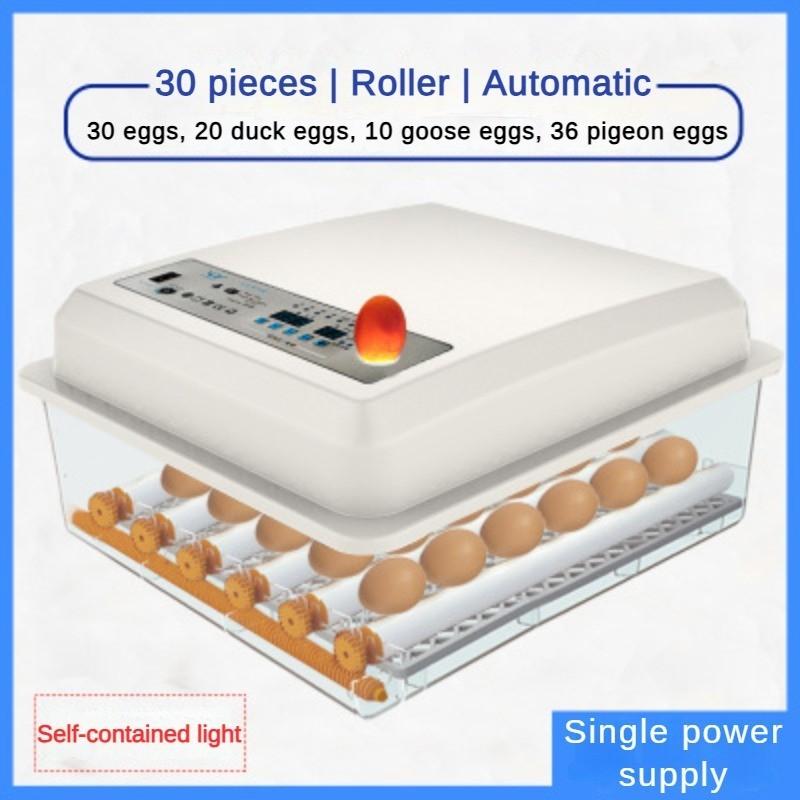 50W Small Household Egg Hatcher Multifunctional Intelligent Incubator Fully Automatic One Click Mini Incubator 53 * 24 * 48cm