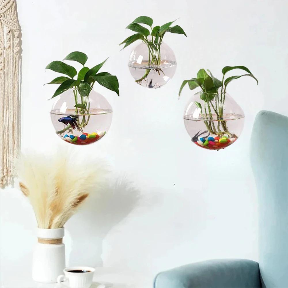 Minimalist Glass Wall Mounted Round Shape Vase Hydroponic Plant Glass Bottle Creative Green Plant Decoration for Living Room