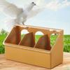 Bird Feeder 1 Hole 3 Holes Filling Drinking Water Cups for Chicken Quail Plastic Hanging Food Bowls with Clips & Cover
