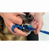 Anti-bite Hand Dog Brush Teeth Auxiliary Tools Cat Teeth Cleaning Toys  For Small and Medium Dogs