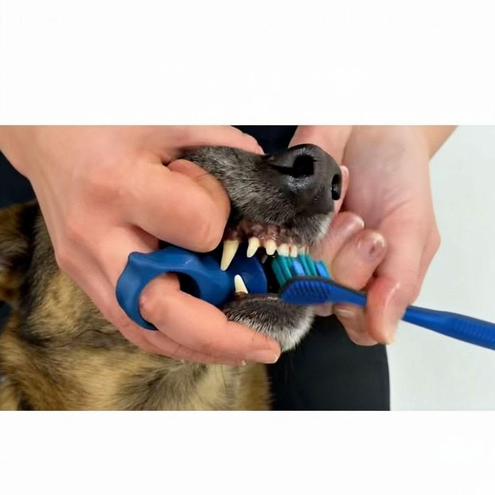 Anti-bite Hand Dog Brush Teeth Auxiliary Tools Cat Teeth Cleaning Toys  For Small and Medium Dogs