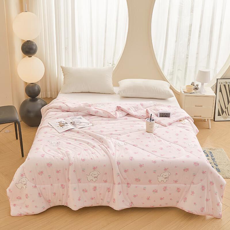 

JieLiYa Antibacterial Cooling Ice Silk Summer Quilt 150x200cm