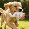 Cani – Giocattoli per cani