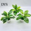 Garden Artificial Potted Plant Realistic Plastic Eye-Catching Decoration Imitative Bonsai Plants for Home