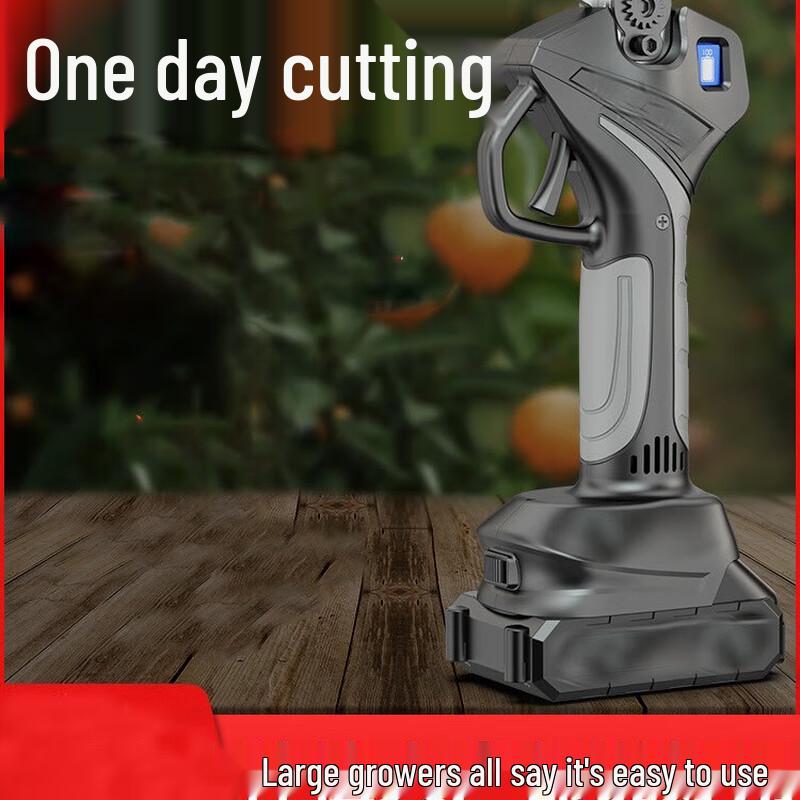 

Karle Champagne Cordless Electric Pruning Shears CN plug (adapter included)
