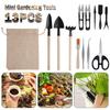 13-teiliges Sukkulentenpflanzen-Werkzeugset für Zimmerpflanzen Hausgarten-Set Schwarzer Topf Kaktus Hauspflanzen Kultivierungswerkzeug Gartenwerkzeug-Set