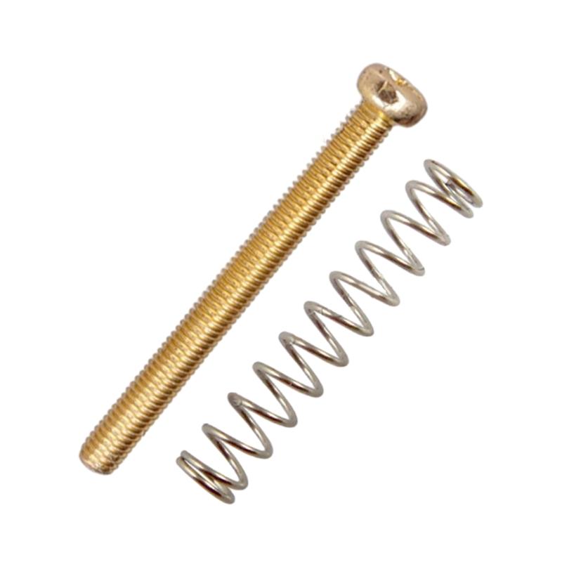 10 Pcs Guitar Humbucker Pickup Height Screws with Springs Double  Coil Guitar Pickup Screws Electric Guitar Parts