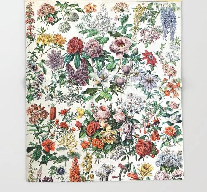 Adolphe Millot Fleurs Pour Tous French Vintage Poster Throw Blanket  Warm Microfiber Blanket Flannel Blanket