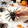 Early Education Science Kits Realistic Spider Figurine, Lifelike Fake Tarantula Figure, Plastic Animal Insect Figurines Model for Halloween
