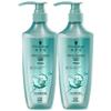 Oil Control Silicone-Free Shampoo