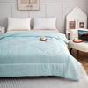 Bijiaman Warm Washed Cotton Anti-Mite Quilt